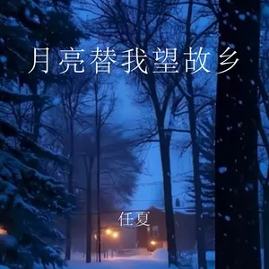 月亮替我望故乡