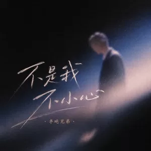 不是我不小心