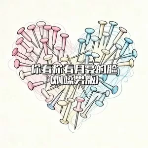 你看你看月亮的脸