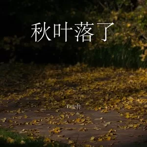 秋叶落了