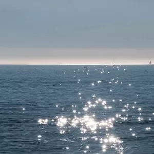 泪海