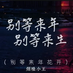 别等来年别等来生(别等来年花开)