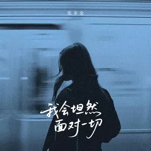 我会坦然面对一切（深情版）