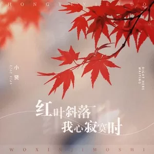 红叶斜落我心寂寞时