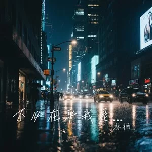 不必在乎我是谁(深情烟嗓版)