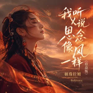我听人说思念像风一样(宿命版)