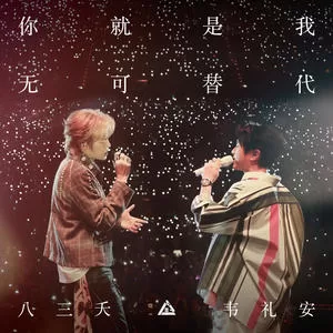 你就是我无可替代(Live)