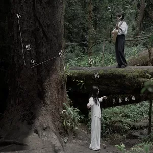 不擅生长的树 (Isness)