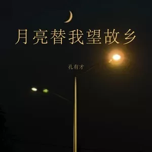 月亮替我望故乡