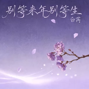 别等来年别等来生(抒情版女)