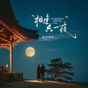 相逢只一夜