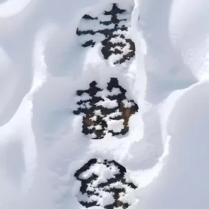 清静经