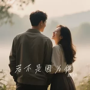 若不是因为你(深情版)