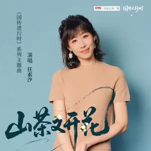 山茶又开花
