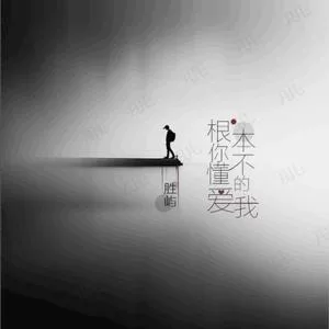 根本你不懂得爱我