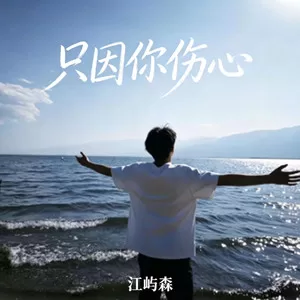 只因你伤心