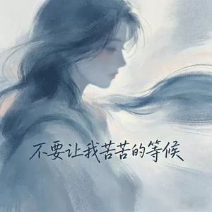 不要让我苦苦等候(沧桑版)