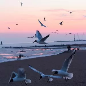 沉沦与遐想
