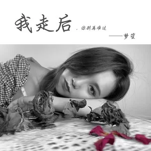 我走后(女声版)