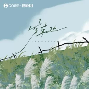 芦苇飞