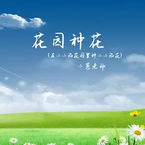 花园种花(在小小的花园里种小小的花)