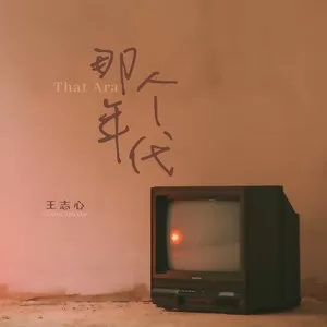 那个年代(王志心版)