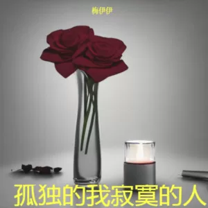 孤独的我寂寞的人