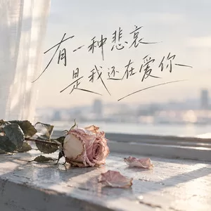 有一种悲哀是我还在爱你