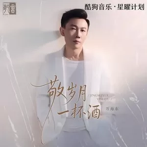 敬岁月一杯酒