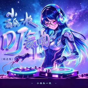 新鸳鸯蝴蝶梦(DJ阿能版伴奏)