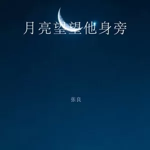月亮替我望故乡