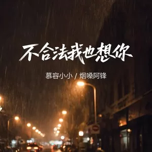 不合法我也想你(对唱版)