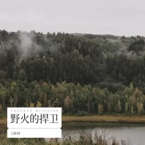 野火的捍卫
