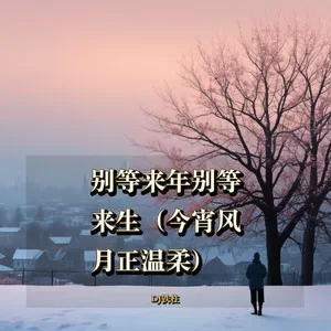 别等来年别等来生（这一别再无归期）