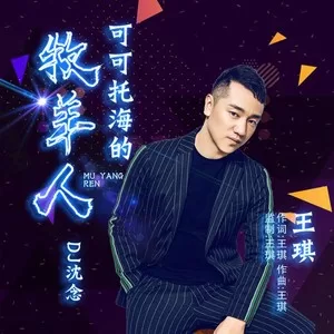 可可托海的牧羊人(DJ沈念)