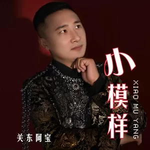 小模样(伴奏)