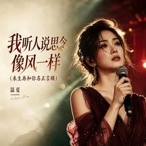 我听人说思念像风一样(来生再和你名正言顺)