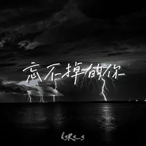 忘不掉的你 (掏空)