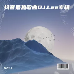 心墙（DJ版）