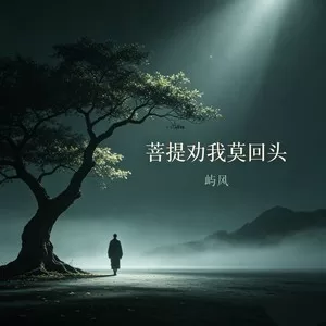 菩提劝我莫回头（DJ版）