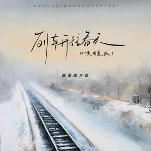 列车开往春天(DJ黄周豪版)