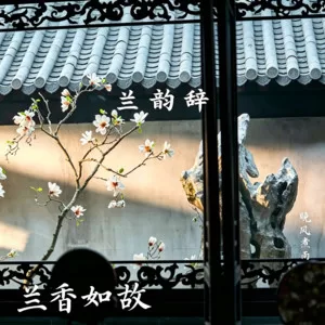 兰韵辞(《兰香如故》电视剧插曲)