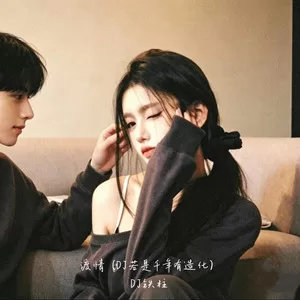渡情（DJ若是千年有造化）