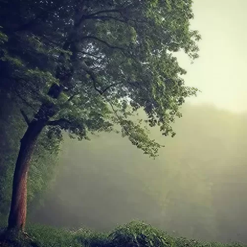 救苦宝诰(天师府版)