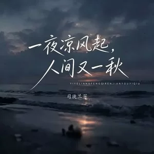 一夜凉风起 人间又一秋（dj阿尼版）