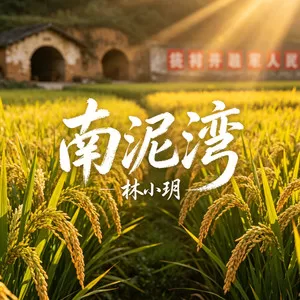 南泥湾（雷鬼版）