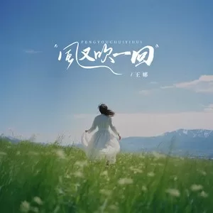 风又吹一回（DJ阿尼版）