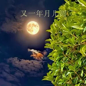 又一年月儿圆