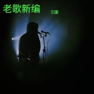 风雨夜归人