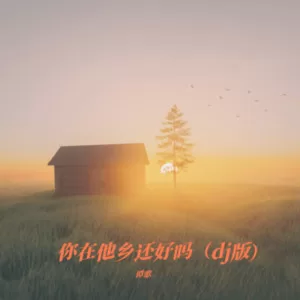你在他乡还好吗（dj版）